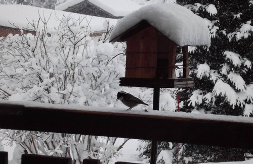 Saint-Gervais-les-Bains Apartment | 4-person apartment, garden level, Mont Blanc view