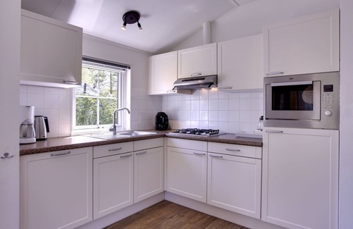 Municipality of Dalfsen House | 4-persoons bos by Interhome