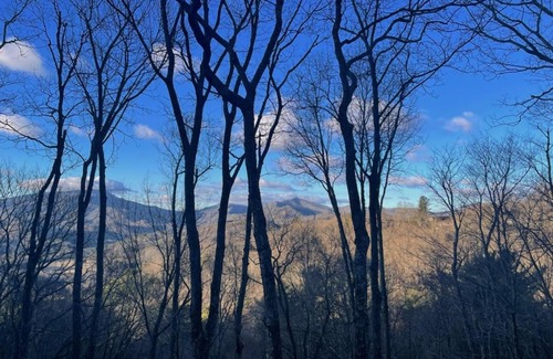 Boone House | 4 Pines