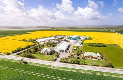 Sonke-Nissen-Koog Apartment | 4-star vacation apartment "Lüttmoor" in country house style with feel-good character