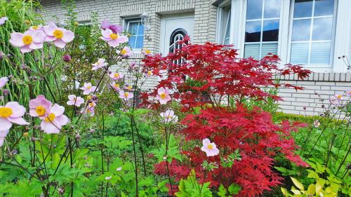 Aschhauserfeld House | 4 Sterne Ferienhaus Marlene mit großem Garten