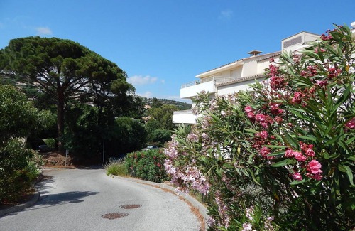 Cavalaire-sur-Mer Apartment | 40 m² Apartment ∙ 1 bedroom ∙ 4 guests