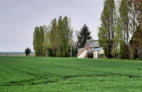 Essigny-le-Grand Apartment | 40 m² Apartment ∙ 1 bedroom ∙ 4 guests