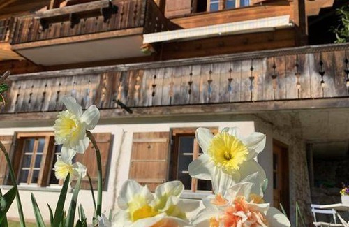 Meiringen Apartment | 40 m² Apartment ∙ 1 bedroom ∙ 4 guests
