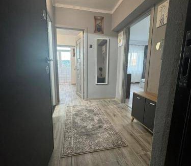 Calimanesti Apartment | 40 m² Apartment ∙ 1 bedroom ∙ 4 guests