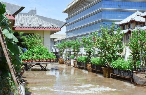 Dunhuang Hotel | 40 m² Hotel ∙ 3 bedrooms ∙ 3 guests