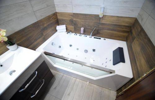 Central Serbia Hotel | 40 m² Hotel ∙ 3 guests