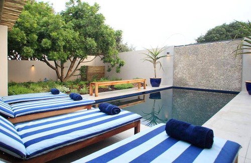 Plettenberg Bay Hotel | 40 m² Hotel ∙ 3 guests