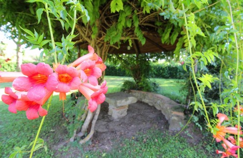 Bucine Villa | 40 m² Villa ∙ 1 bedroom ∙ 3 guests