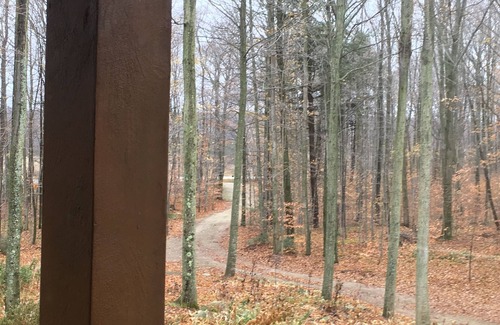 Egg Harbor Cabin | 40 wooded acres w/walking trails, FIREPLACE - book your winter escape now!