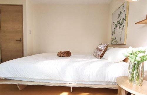 Ikebukuro Apartment | 41池袋最中心 两室一厅 池袋站10分 2 rooms Ikebukuro center 10 mins to ST Max 5P 直达新宿 涉谷 表参道 池袋 上野 代代木 银座 原宿