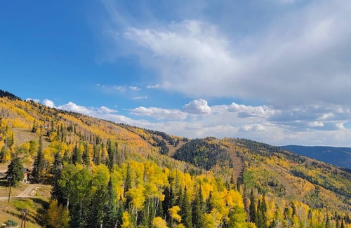 Steamboat Springs Condo | 41 m² Condo ∙ 2 bedrooms ∙ 5 guests