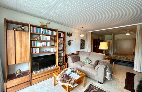 Schwarzenbach Apartment | 42 m² Apartment ∙ 2 guests