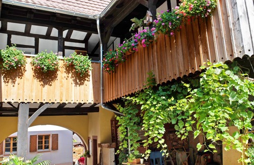 Britzingen Apartment | 43 m² Apartment ∙ 1 bedroom ∙ 2 guests