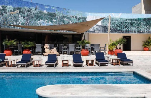 Zona Paseo Montejo Hotel | 43 m² Hotel ∙ 127 guests