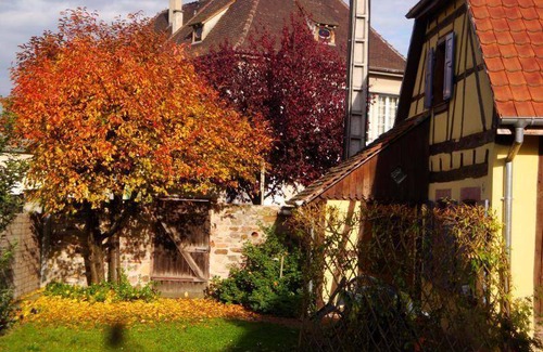 Horbourg-Wihr House | 43 m² House ∙ 2 bedrooms ∙ 4 guests