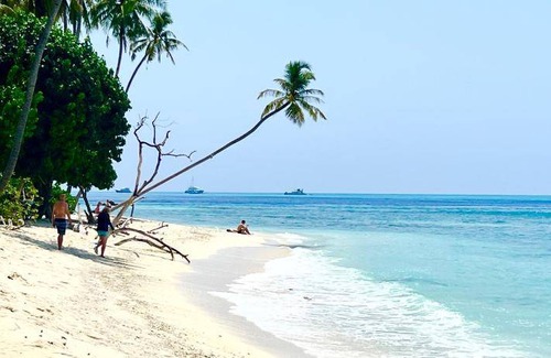 Thulusdhoo Island Hotel | 44 m² Hotel ∙ 4 guests