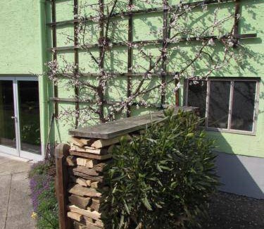 Alkoven House | 44 m² Motel ∙ 4 guests