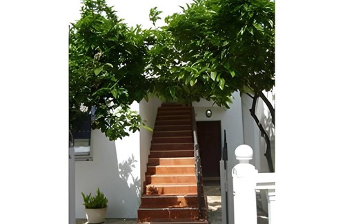 Velji Vinogradi Apartment | 45 m² Apartment ∙ 4 guests