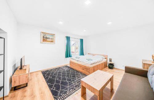 Kasperske Hory Apartment | 45 m² Apartment ∙ 1 bedroom ∙ 3 guests