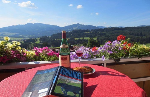 Mittelberg Apartment | 45 m² Apartment ∙ 1 bedroom ∙ 4 guests