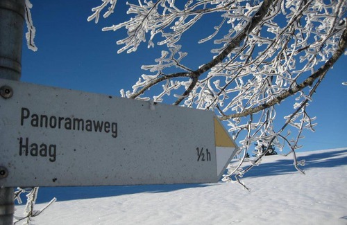Mittelberg Apartment | 45 m² Apartment ∙ 1 bedroom ∙ 4 guests