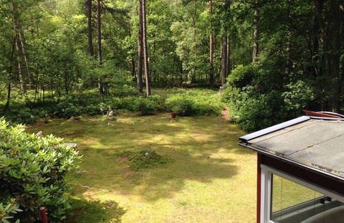 Buchholz in der Nordheide House | 45 m² Bungalow ∙ 1 bedroom ∙ 2 guests