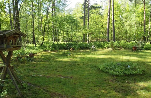 Buchholz in der Nordheide House | 45 m² Bungalow ∙ 1 bedroom ∙ 2 guests