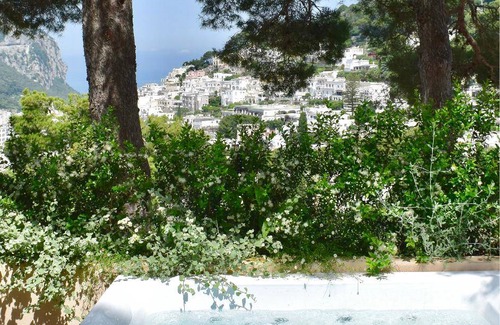 Capri Hotel | 45 m² Hotel ∙ 127 guests