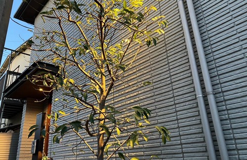 Tokorozawa House | 45 m² House ∙ 1 bedroom ∙ 3 guests