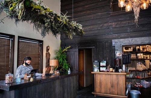 Orchard District Hotel | 46 m² Hotel ∙ 127 guests