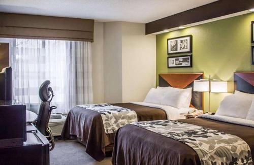 Blue Jay Hotel | 46 m² Hotel ∙ 127 guests