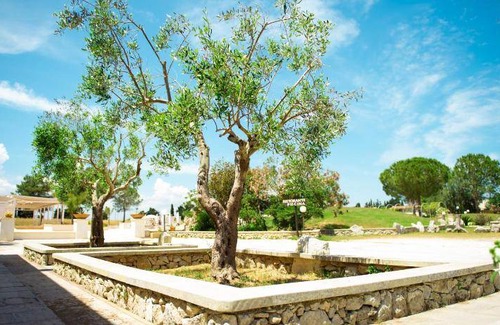 Vanze House | 49 m² Farmhouse ∙ 5 guests