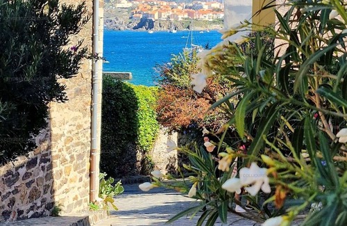 Collioure Apartment | 4EGA41 - Superb F3 in the city center