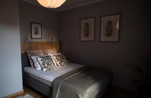 Ilawa Apartment | 4jeziora - prywatny dostęp do rzeki, pomost, ogrodem, wiata grillowa, rowerek wodny, kajaki i SUP w cenie, parking, psiaki dozwolone