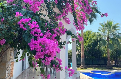 Dalyan Villa | 5 Bedroom Villa in a quiet location. Great prices for 2025
