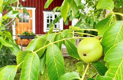 Borgholm House | 5 person holiday home in BORGHOLM