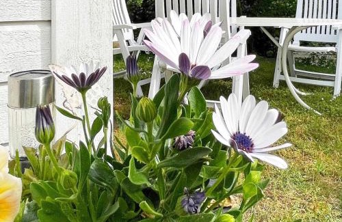 Falkvik House | 5 person holiday home in SÖLVESBORG