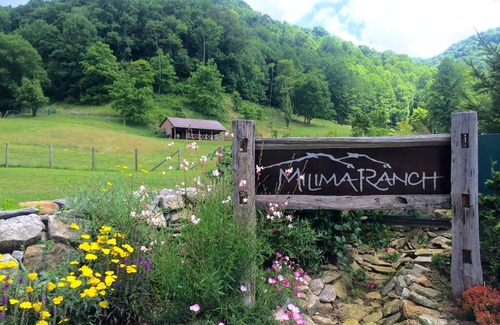 Clyde Cabin | 5 star luxury cabin*private hiking trails on 400 acres* Stunning southern views.