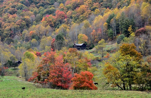 Clyde Cabin | 5 star luxury cabin*private hiking trails on 400 acres* Stunning southern views.