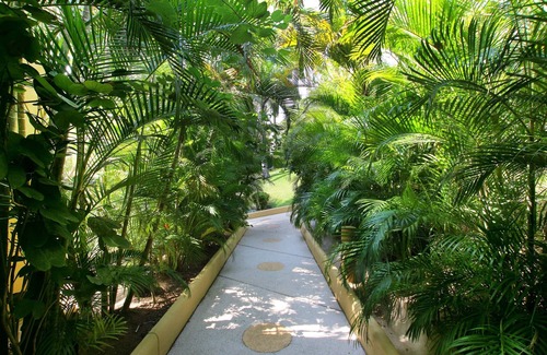 Ixtapa - Zihuatanejo Condo | 5 Star Mexican Retreat at the Residencias on Playa La Ropa.