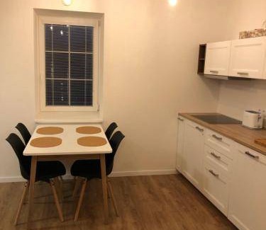 Janov nad Nisou Apartment | 50 m² Apartment ∙ 1 bedroom ∙ 4 guests