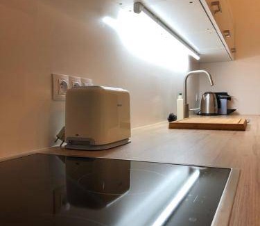 Janov nad Nisou Apartment | 50 m² Apartment ∙ 1 bedroom ∙ 4 guests