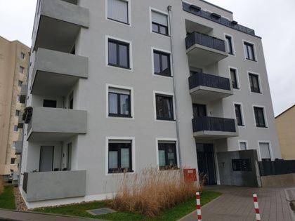Rhein-Erft-Kreis District Apartment | 50 m² Apartment ∙ 1 bedroom ∙ 4 guests