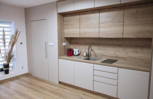 Ostrava Apartment | 50 m² Apartment ∙ 1 bedroom ∙ 4 guests