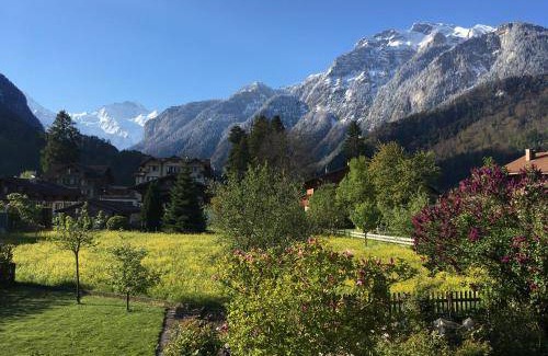 Wilderswil Apartment | 50 m² Apartment ∙ 1 bedroom ∙ 4 guests
