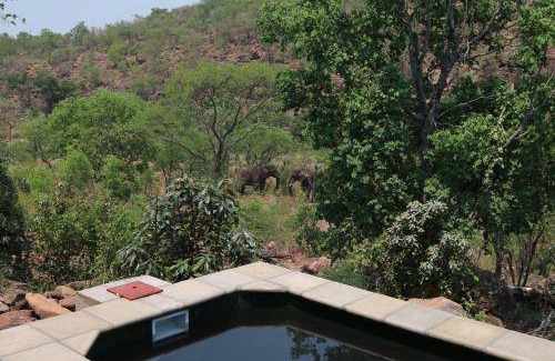 Vaalwater Cabin | 50 m² Lodge ∙ 2 guests