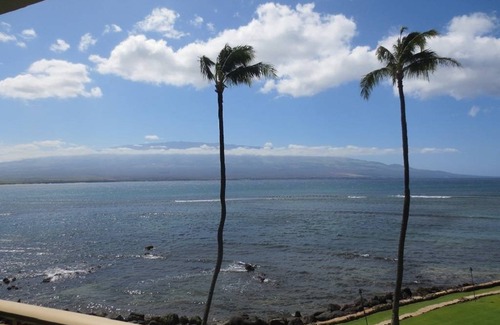 Maalaea Condo | 51 m² Condo ∙ 1 bedroom ∙ 4 guests