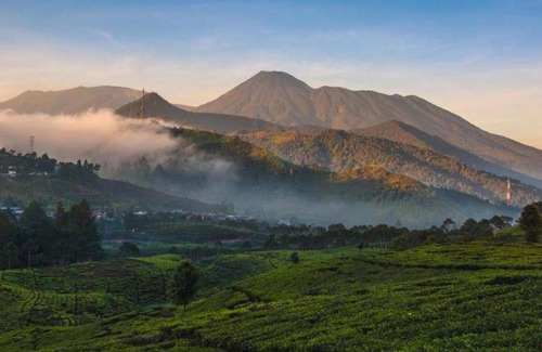 Citaringgul Hotel | 51 m² Hotel ∙ 8 guests