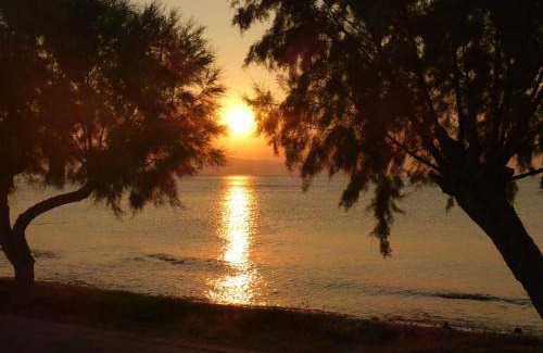 Milos Apartment | 52 m² Apartment ∙ 2 bedrooms ∙ 5 guests